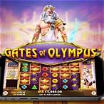 mr bet casino rise of olympus login